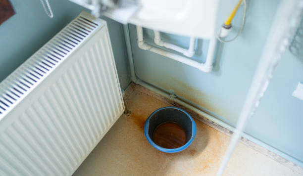 Best Carpet water damage restoration  in Pelham, AL